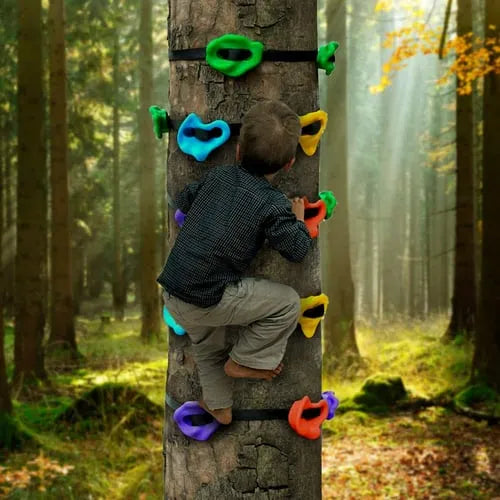 Kids Backyard Rockclimbing Kit